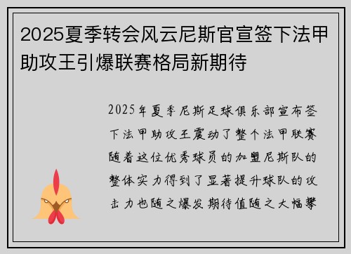 2025夏季转会风云尼斯官宣签下法甲助攻王引爆联赛格局新期待