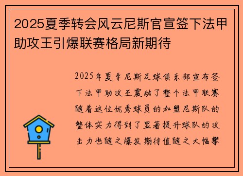 2025夏季转会风云尼斯官宣签下法甲助攻王引爆联赛格局新期待