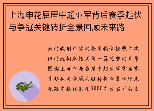 上海申花屈居中超亚军背后赛季起伏与争冠关键转折全景回顾未来路